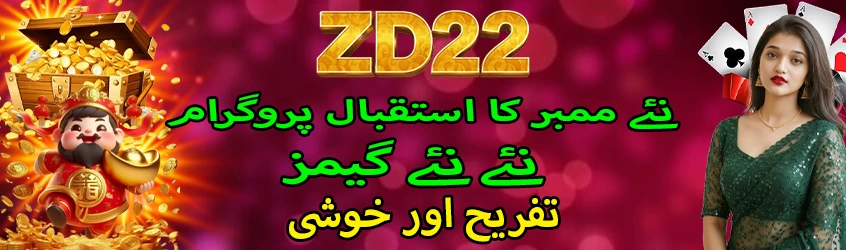 ZD22 Game